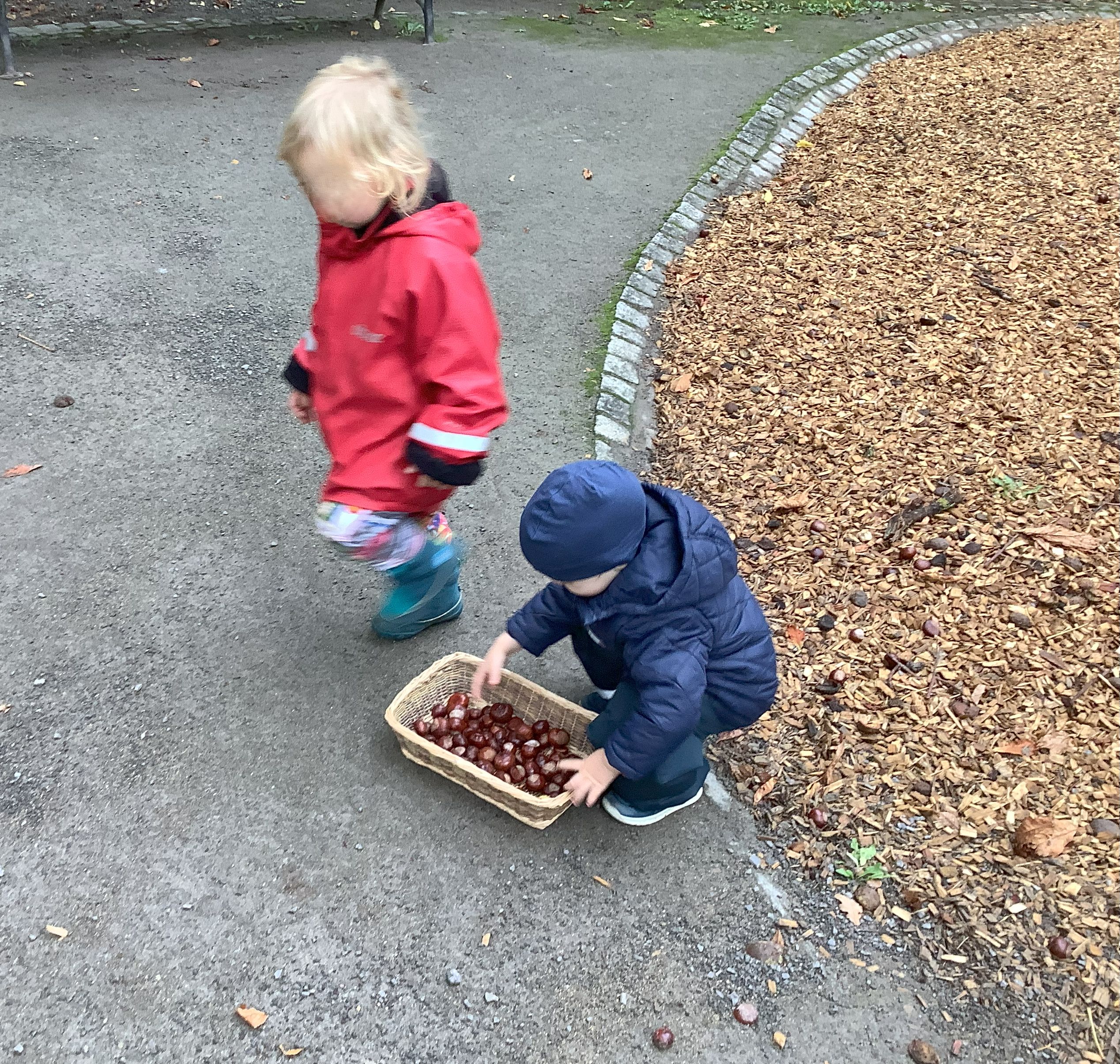 Kinder sammeln drau&szlig;en etwas ein