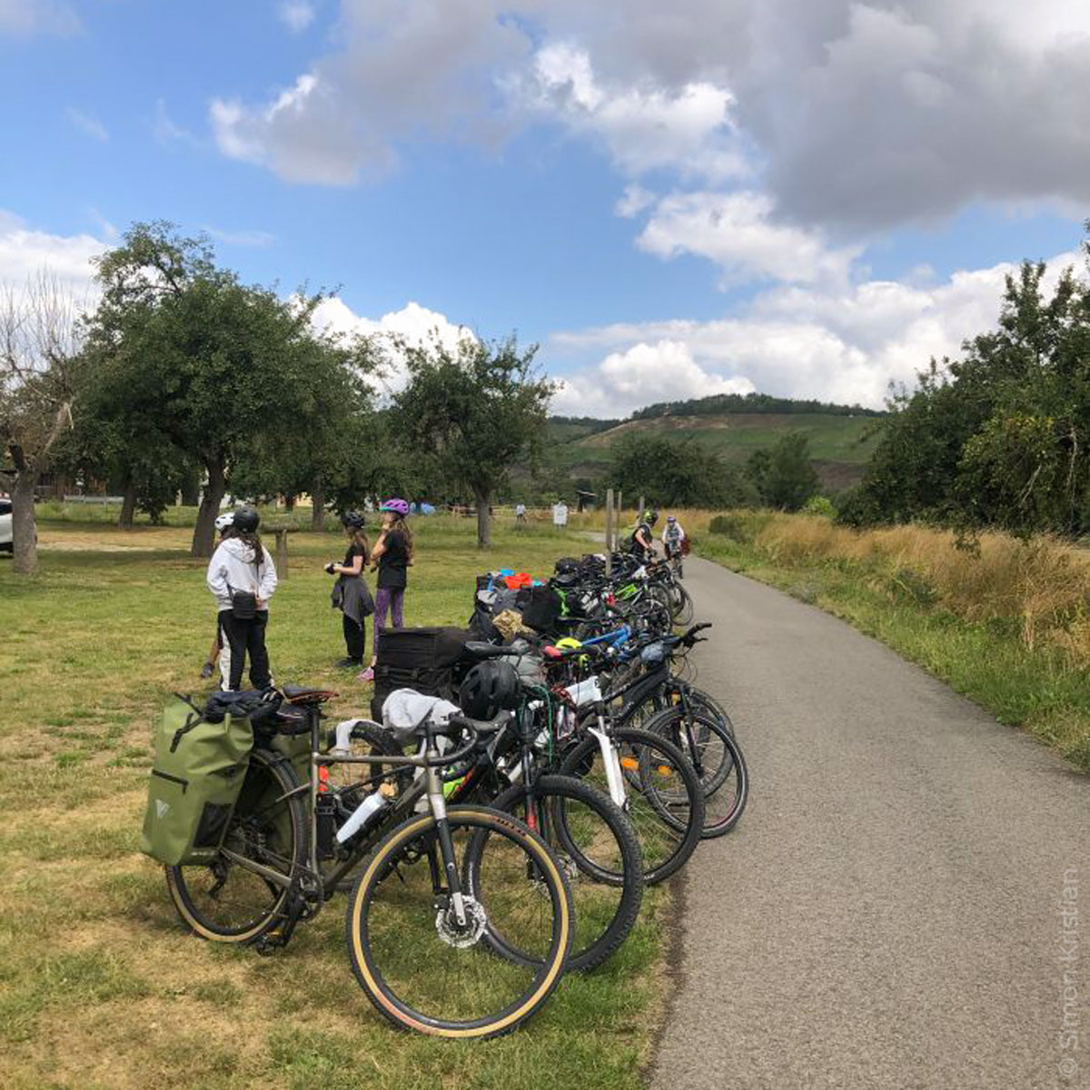 Fahrr&auml;der am Radweg