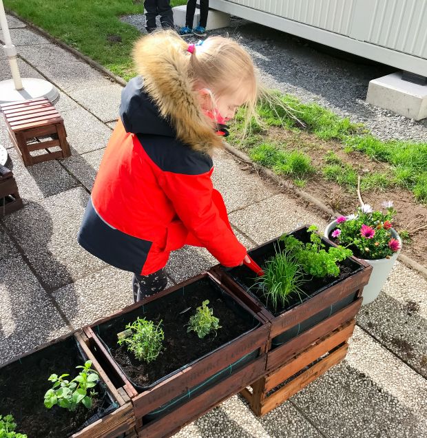 Sch&uuml;lerin beim anpflanzen.
