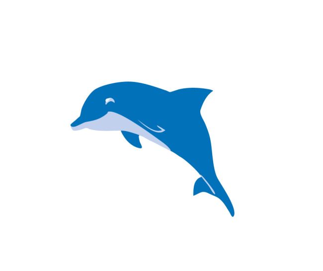 Delfin Illustration